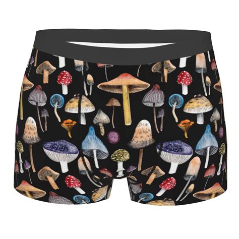 Disketp Mushrooms And Autumn Leaves Men S Boxer Briefs Soft And