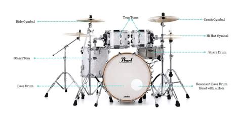 10 Best Drum Set Brands - The Ultimate Guide (2024) | Ted's List