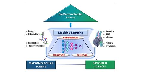 Machine Learning At The Interface Of Polymer Science And Biology How