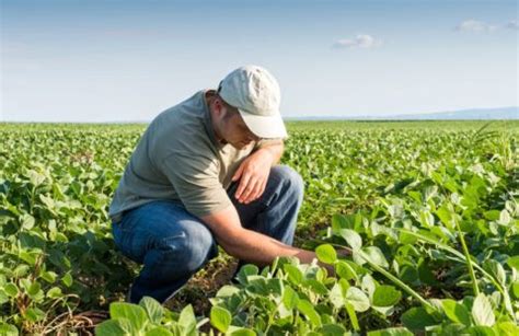 Conoce El Rol Del Ingeniero Agr Nomo Agroingenia Canarias