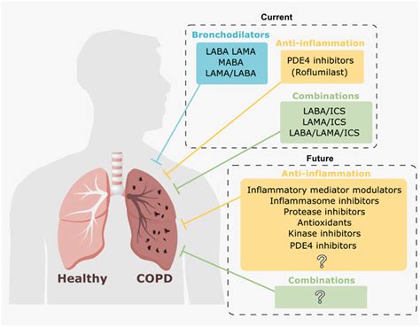 grado imprenditore partire lama copd medications Niente etica Ruggito