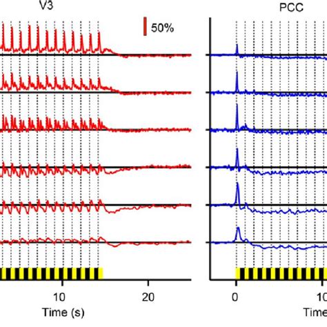 Percent Modulation Of LFP Power For Standard EEG Bands V3 Shows