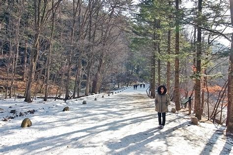 평창 가볼만한곳 베스트 10 겨울을 즐기자 네이버 블로그