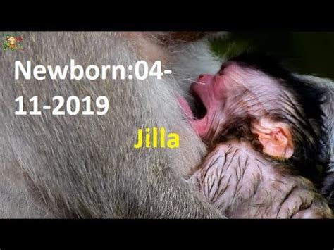 Congratulation Jill Give Birth Today What Is Wrong Mom Do Newborn