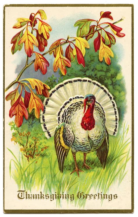 Vintage Thanksgiving Clip Art - White Turkey - The Graphics Fairy