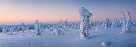 Lapland Experiences | Arctic Agency