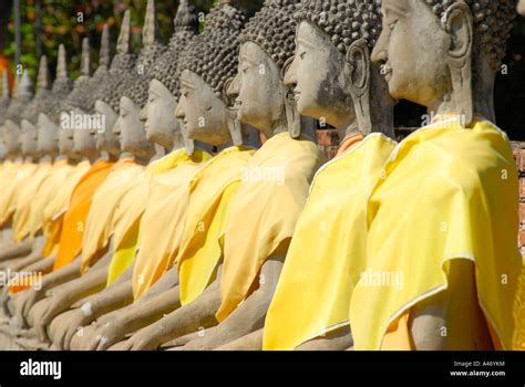 Many Buddha Figures In A Row With Yellow Cloth Wat Yai Chai Mongkol