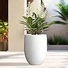 Amazon Kante H Pure White Concrete Tall Planter Large