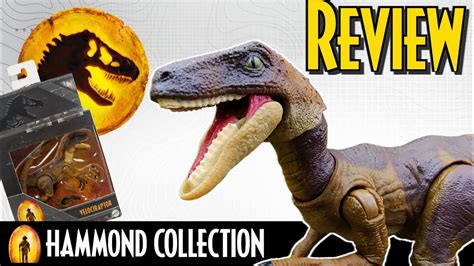 Jurassic World Hammond Collection Velociraptor Exclusive Action Figure ...