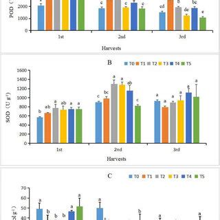 Effects Of Different Se Concentrations On Antioxidant Enzyme Activity