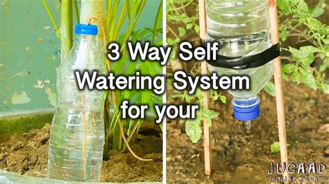 3 Way Self Watering System For Your 🌱 Youtube