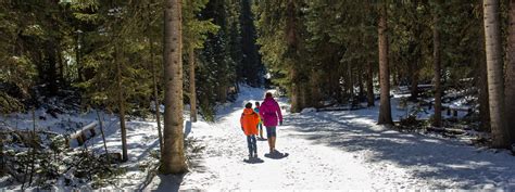 A Winter Adventure in Rocky Mountain National Park - Along for the Trip