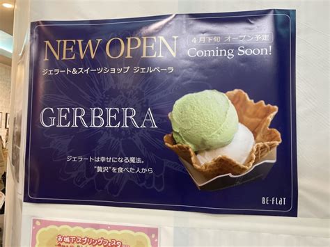 【松山市】2023年4月下旬、銀天街にジェラートのお店「gerberaジェルベーラ」がオープン予定です！ 号外net 松山市（中予地方）