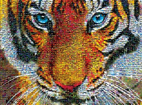 Buy Buffalo Games Photomosaic Tiger Piece Jigsaw Puzzle By