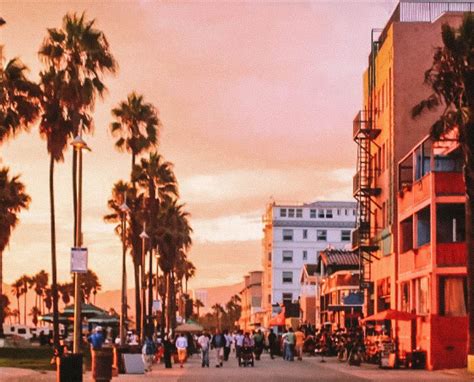 Venice Beach, Los Angeles | Pineappleislands