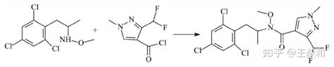 Sdhi Pydiflumetofen