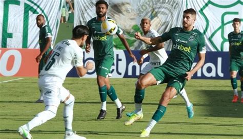 Palmeiras x Goiás Veja quem leva a melhor no retrospecto entre as