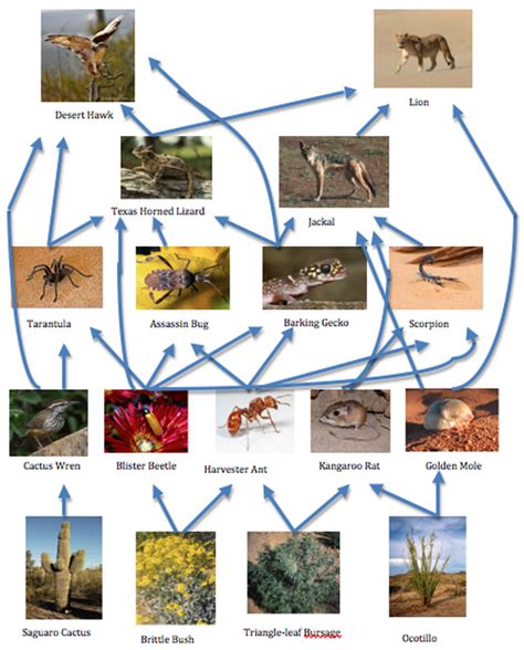 Namibia geography