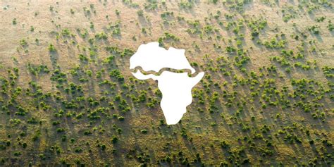 The Great Green Wall Initiative Unccd In 2020 Desert Plants Sahel Region Green Wall