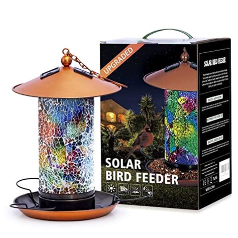 The Best Hanging Bird Feeders - CatTime