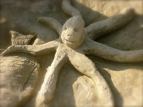 Free Images Rock Wood Monument Statue Material Close Up Octopus