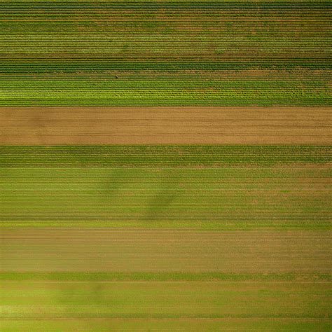 land  pattern patterns  mackenzie sheehy blog