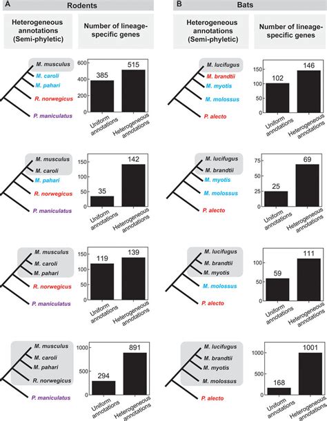 Comparison Of The Number Of Lineage Specific Genes Found Using Uniform