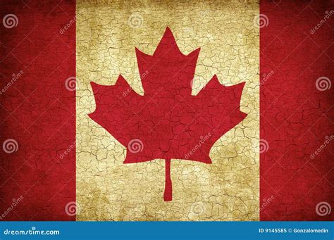 Maple Leaf flag of Canada stock illustration. Illustration of arena ...