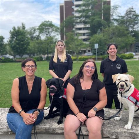 Become A Dog Guides Guardian Lions Foundation Of Canada Dog Guides