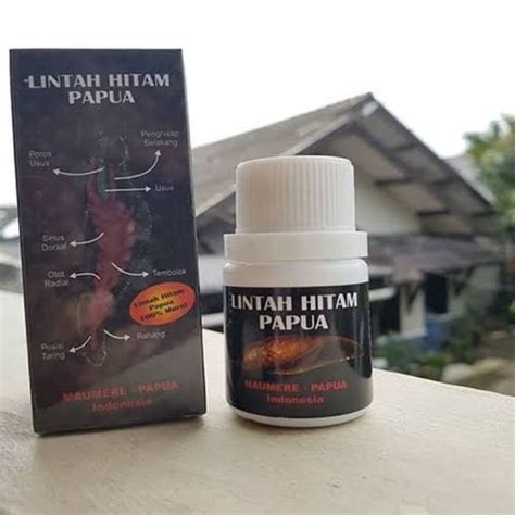 Jual Minyak lintah hitam asli Papua Indonesia|Shopee Indonesia