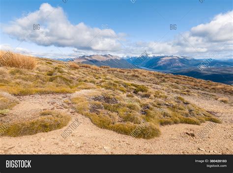 Alpine Vegetation Image & Photo (Free Trial) | Bigstock