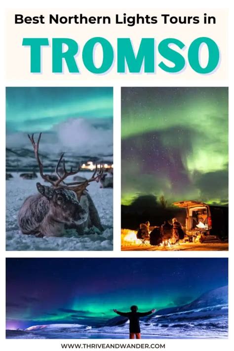 Best Tromso Northern Lights Tour | A Guide