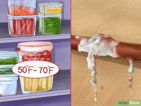 How To Store Food So That It Does Not Spoil Longer Healthy Food Near Me