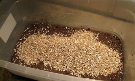 Vermiculite: Moisture-Retaining Mineral