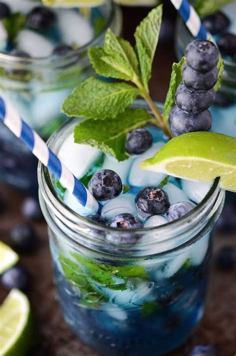 Blueberry Mojito The Novice Chef