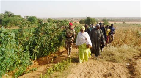 Mission De Pr Valuation De La Campagne Agro Sylvo Pastorale Et