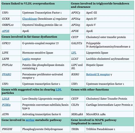 13 Causes Of High Triglycerides Normal Levels Selfdecode Labs