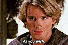 As You Wish Princess Bride GIF – As You Wish Princess Bride Westley ...