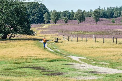 Gelderland De Mooiste Plekken En De Beste Tips Reisgenie