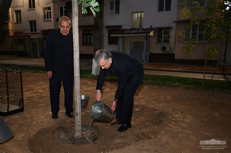 Shavkat Mirziyoyev Yashil Makon Loyihasi Doirasida Kuzgi Daraxt Ekish