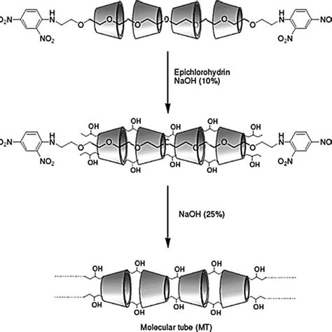 Molecular Structure Of Polyrotaxane Formed By Methylated α Cd Mepr