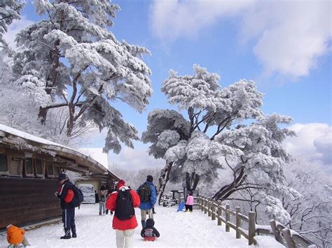 Forest Of Osaka Chihaya Park Tourist Attractions And Experiences