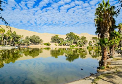 Laguna De Huacachina O Caminho At Um O Sis No Deserto Do Peru