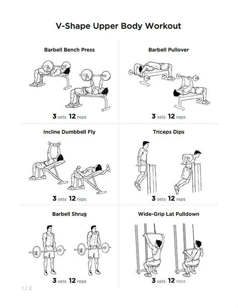 V Shape Back Workout With Dumbbells Workoutwalls