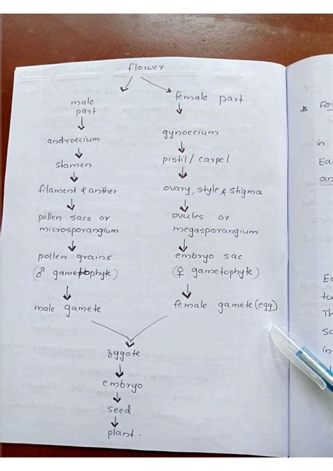 Solution Botany Sexual Reproduction In Flowering Plants Studypool