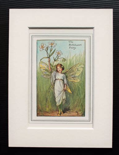 Stitchwort Flower Fairy Mounted Original 1930s Cicely Mary Barker