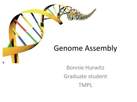 Ppt Genome Assembly Powerpoint Presentation Free Download Id2424563