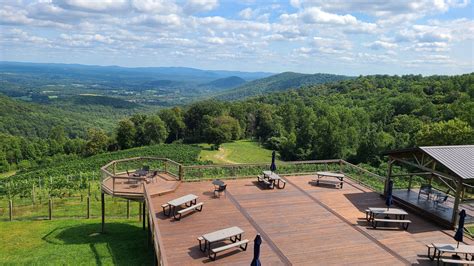 8 Shenandoah Valley Wineries to Try | Daycation DC