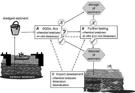 Application Of In Vitro And In Vivo Bioassays For Box A Fast Download Scientific Diagram