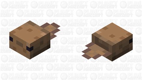 Axolotl Minecraft Mob Skin